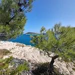 Magnolia Vieste