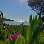 Magnolia Hotel Vieste