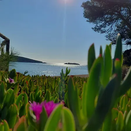 Magnolia Hotel Vieste