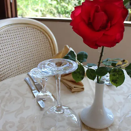 Magnolia Hotel Vieste