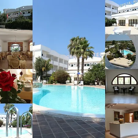 Magnolia 4*