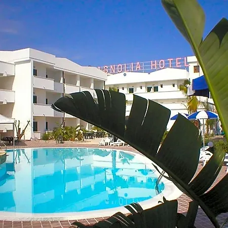Magnolia فيستَ