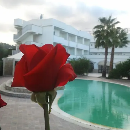 Magnolia 4*