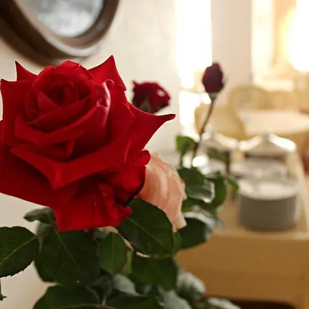 Otel Magnolia Vieste