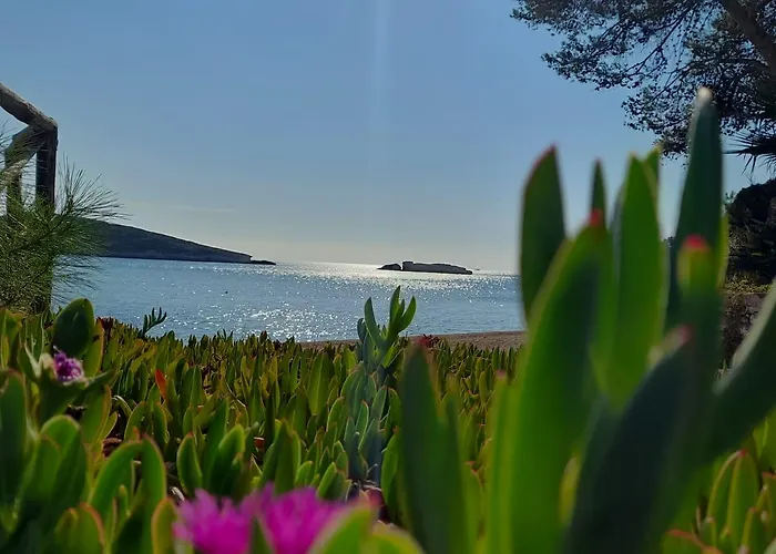 Magnolia Hotel Vieste