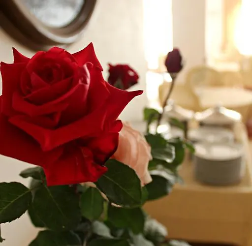 Hotel Magnolia Vieste